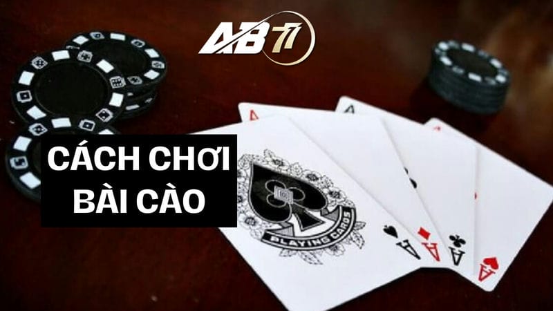 Các bước cơ bản trong game bài cào