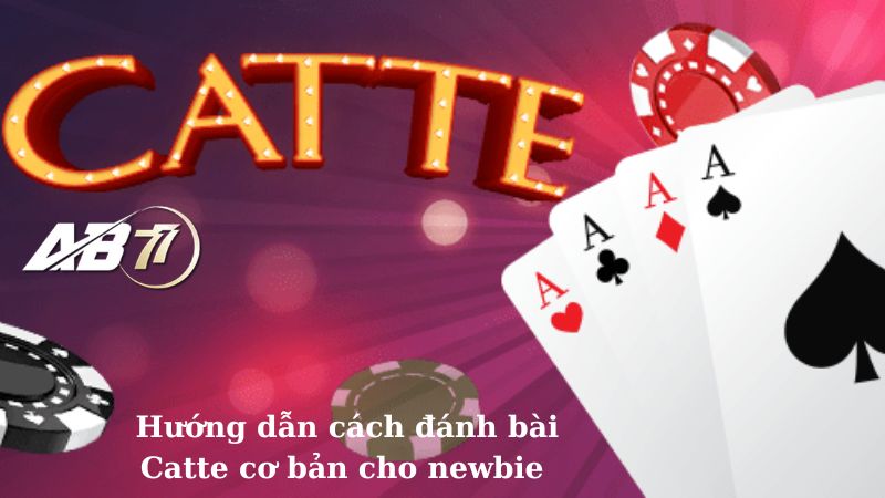 Hướng dẫn cách đánh bài Catte cơ bản cho newbie 